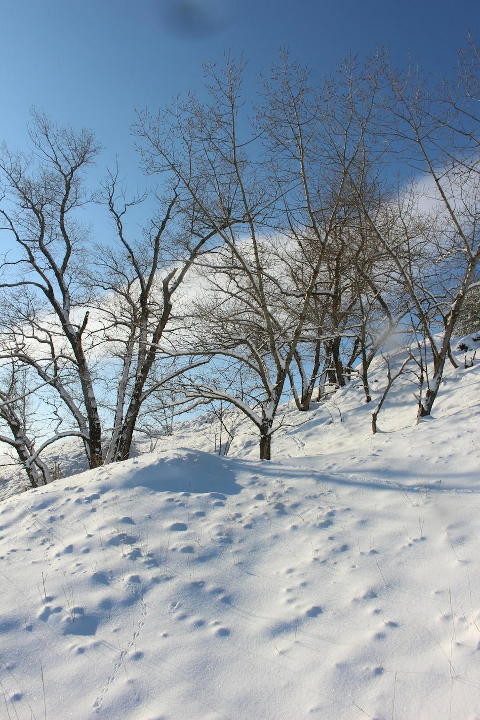 Winter Conditioning Program